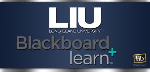Blackboard Assessment – Advanced Workshop