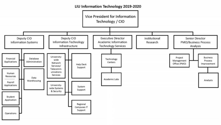 About Us – LIU Information Technology